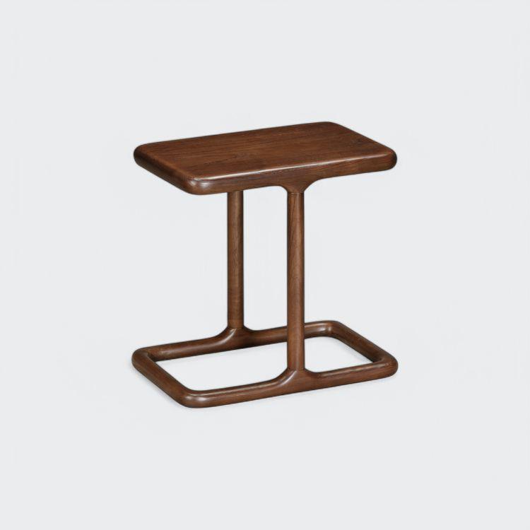 נשכן דגם ריי