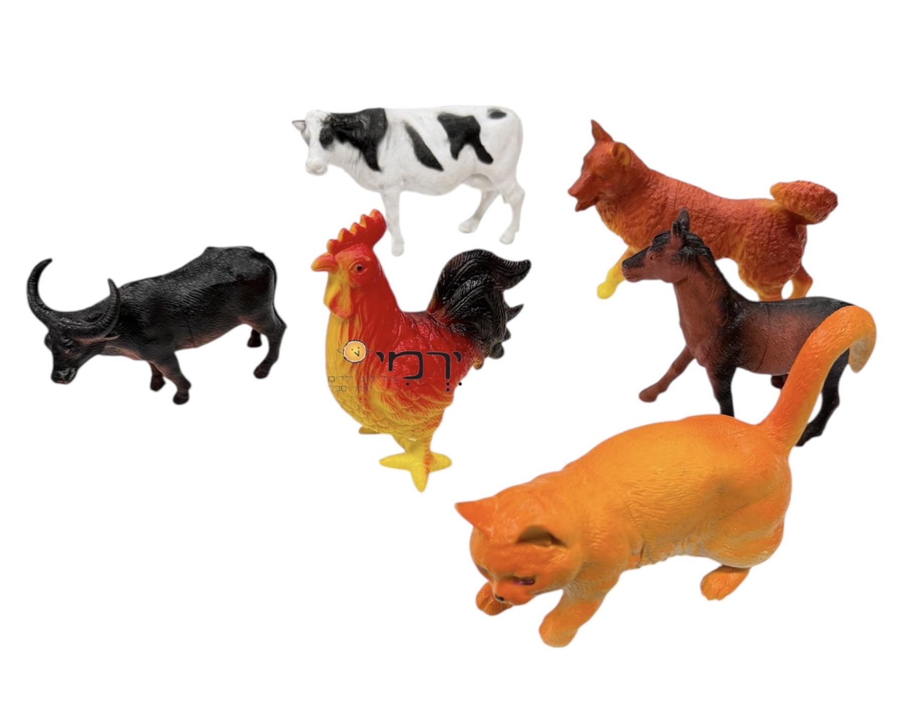 חיות בית 6 יחידות