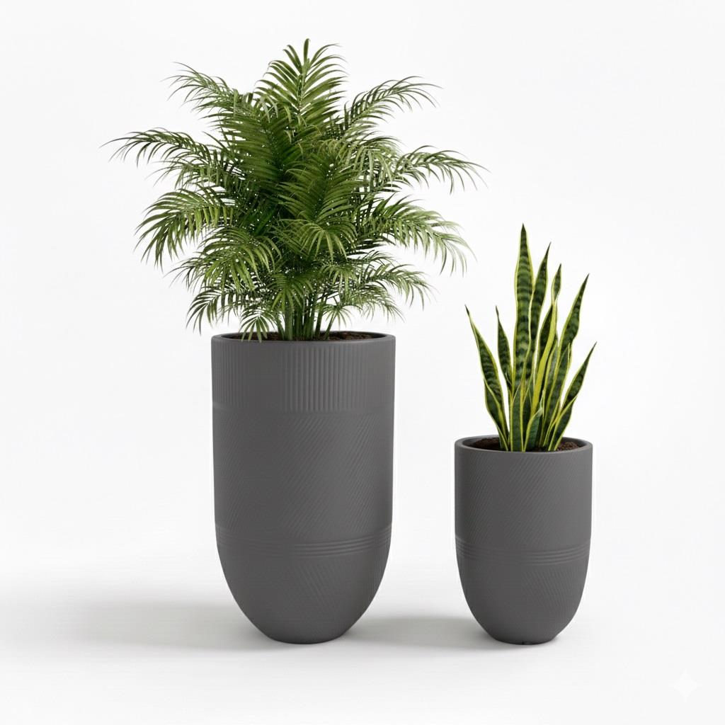 סט כדי ארגוס קרם סט כדי ארגוס קרם