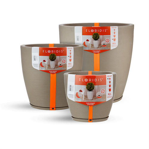 כדי אמסטרדה אובלים