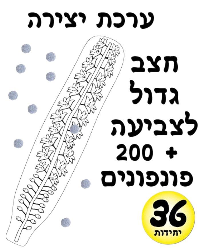 עבודת יצירה חצב + פונפונים