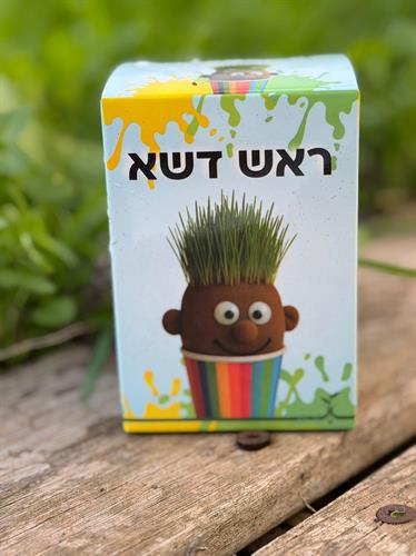ראש דשא