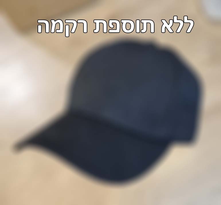 אנחנו לא מעוניינים בתוספת רקמה