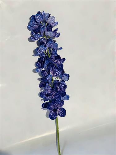 עלים צבעוני כחול #1