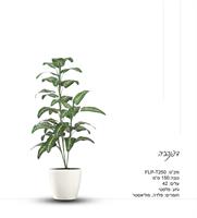 פרשליין - צמחיה מלאכותית - צמחים מלאכותיים - שיח דיפנבכיה מלאכותי