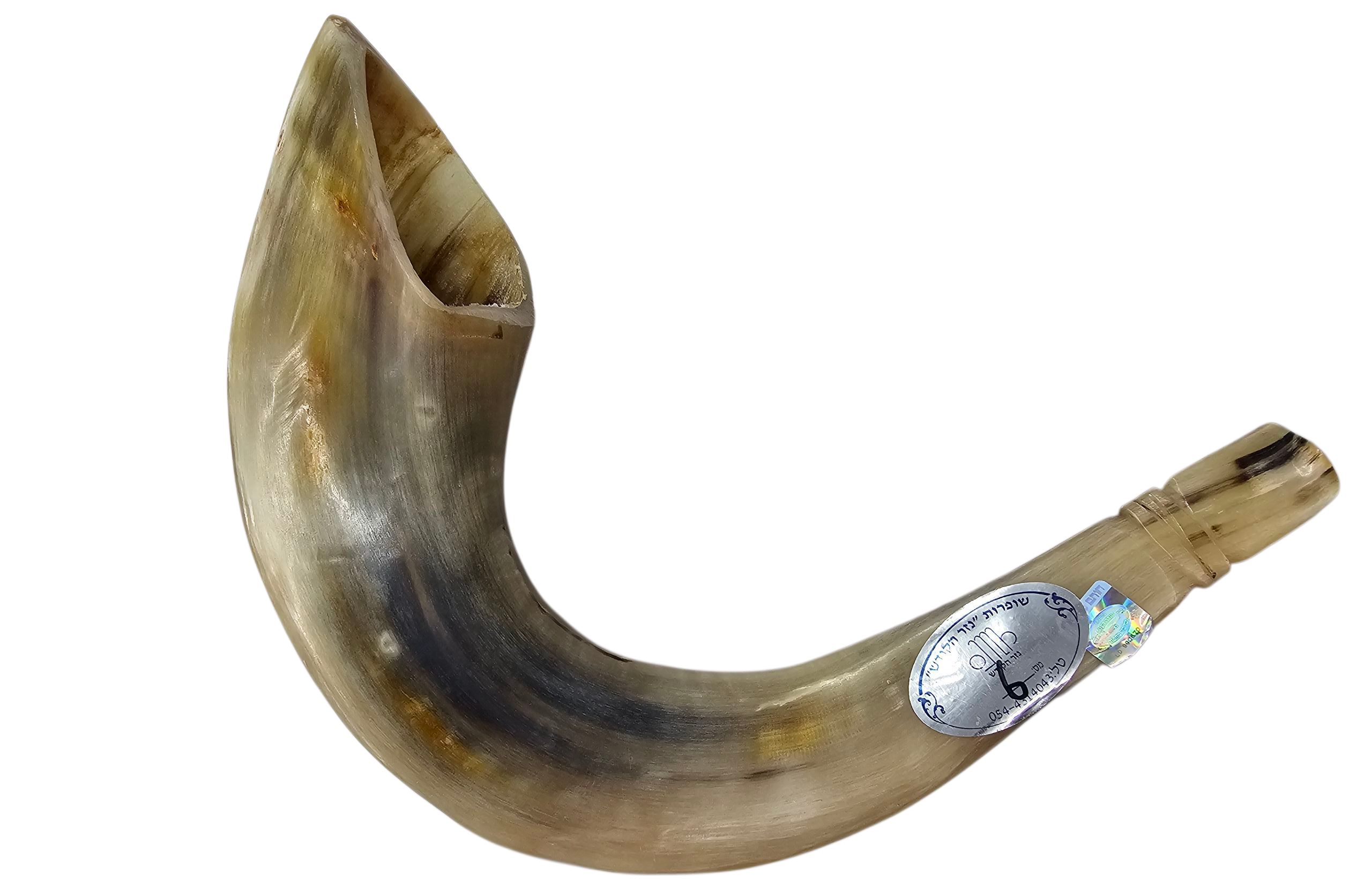 שופר מרוקאי