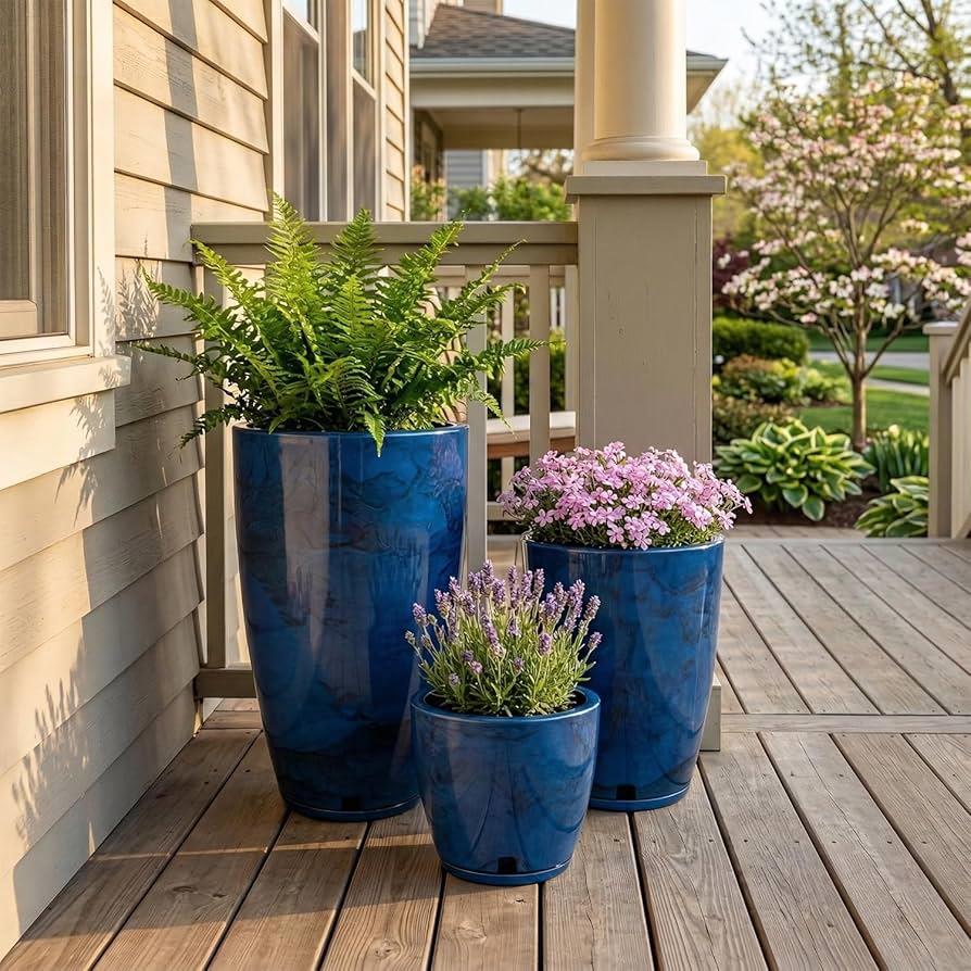 אמסטרדה גלייז