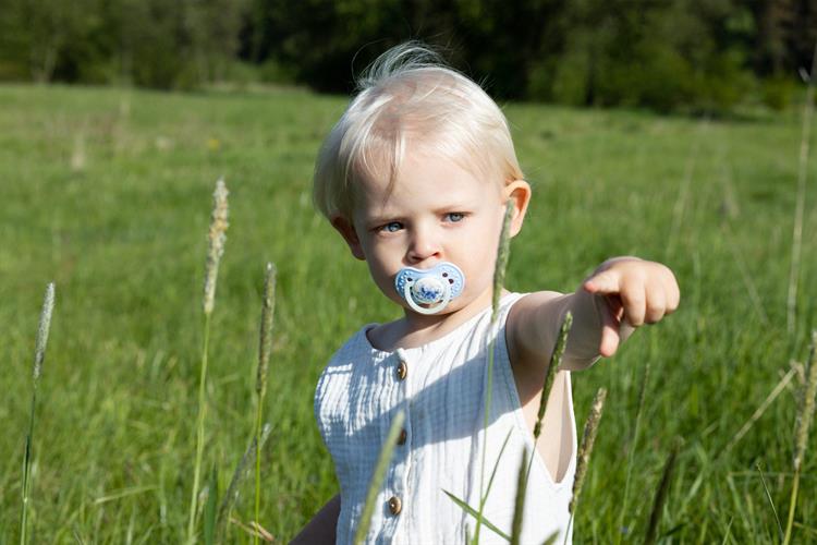 סט מוצצי לאבי מהדורת טאי דאי 0-3 כחול