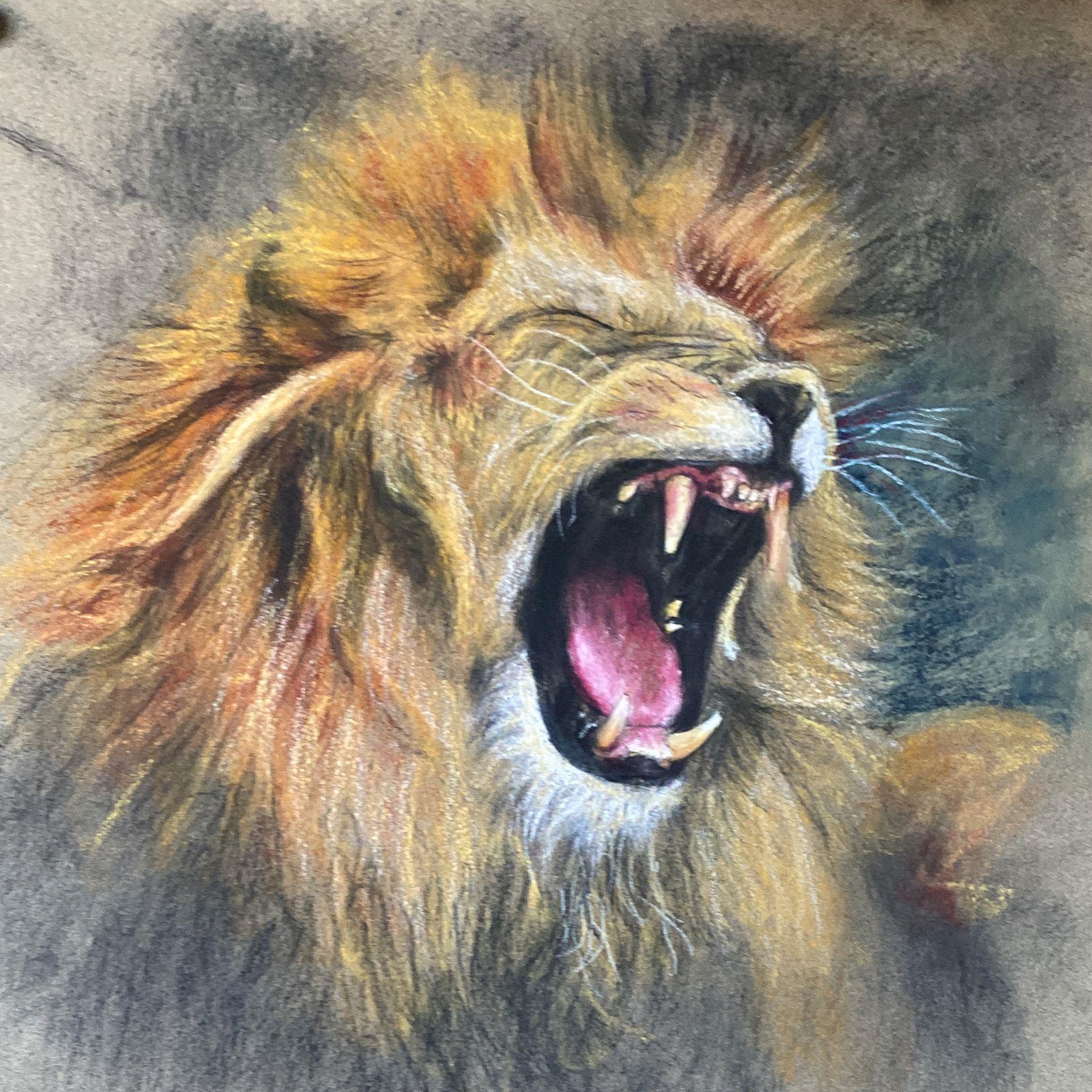 Photo 02-05-2024, 12 25 52 (36)