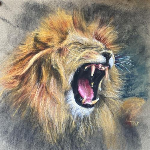 Photo 02-05-2024, 12 25 52 (36)