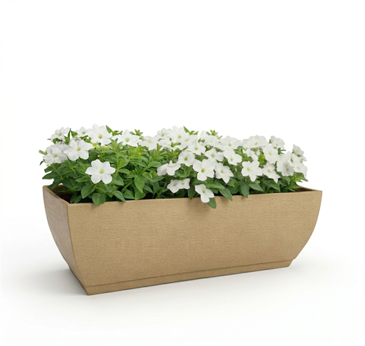 אדנית אמסטרדה