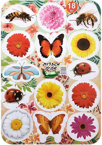 מגזרות אביב - 18 דפים