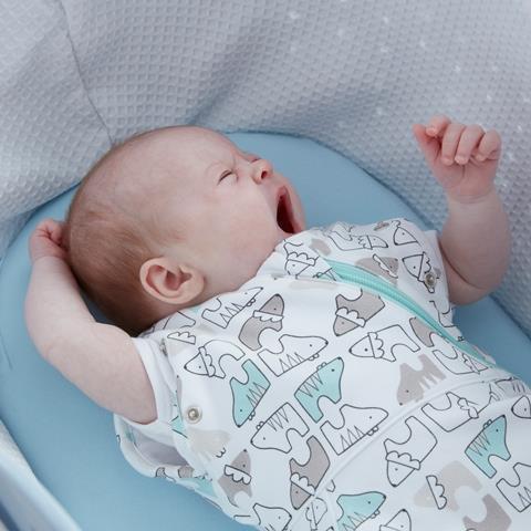 Grosnug עיטופית אריות ונמרים (Light) Grosnug עיטופית אריות ונמרים (Light)