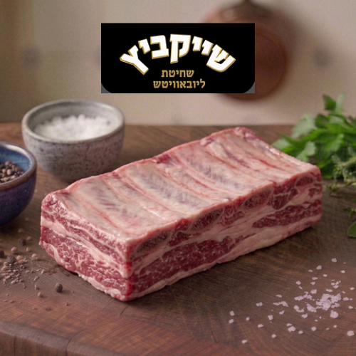 אסאדו שייקביץ ללא עצם