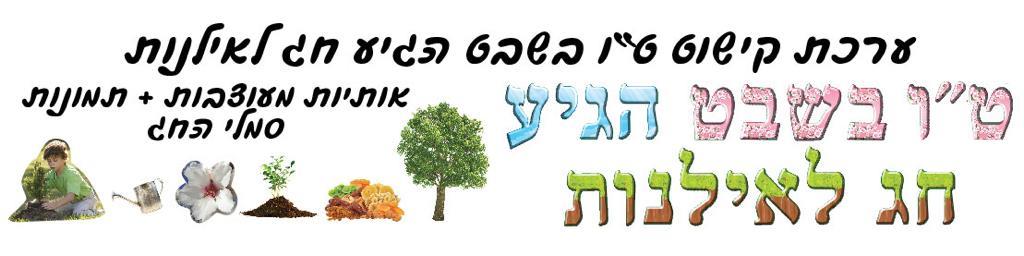 ערכת קישוט הגיע חג האילנות