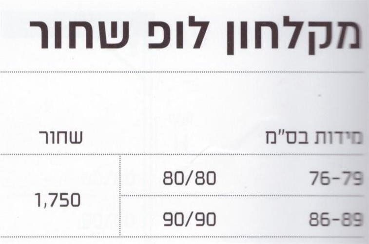 מקלחון שחור קוביות דלתות ארמוניקה