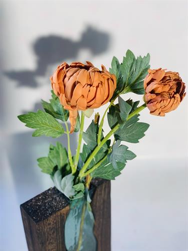 שושנה עם עלים כתום