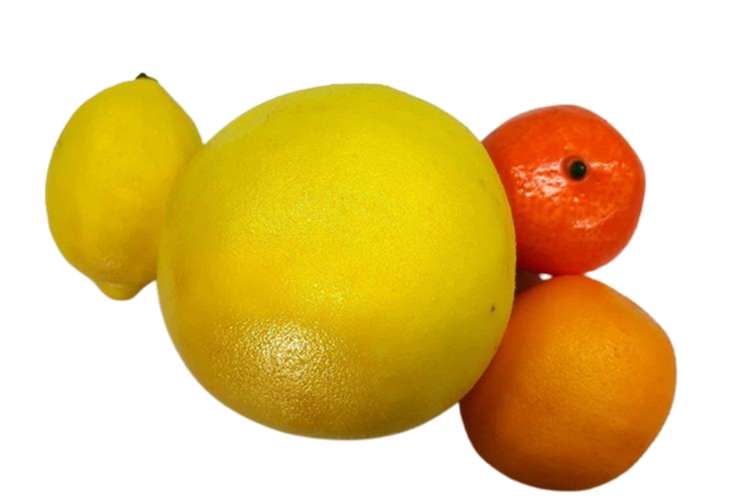 פירות הדר 4 יחידות