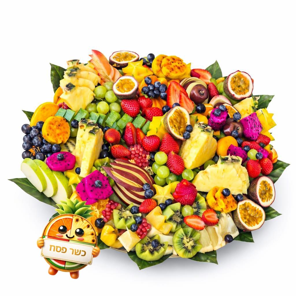 יציאת הפירות XL