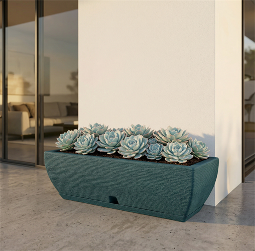 אדנית אמסטרדה