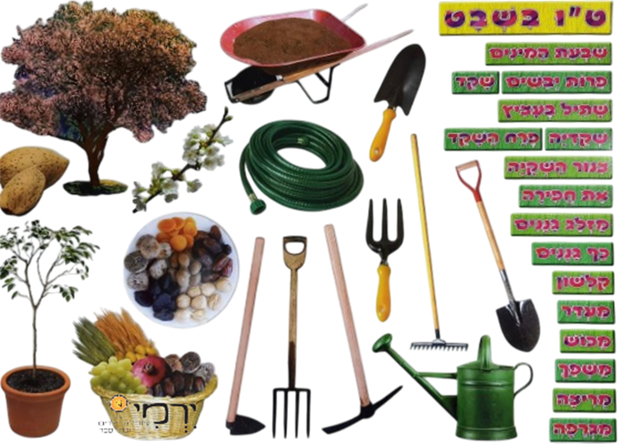 פלקט ט"ו בשבט