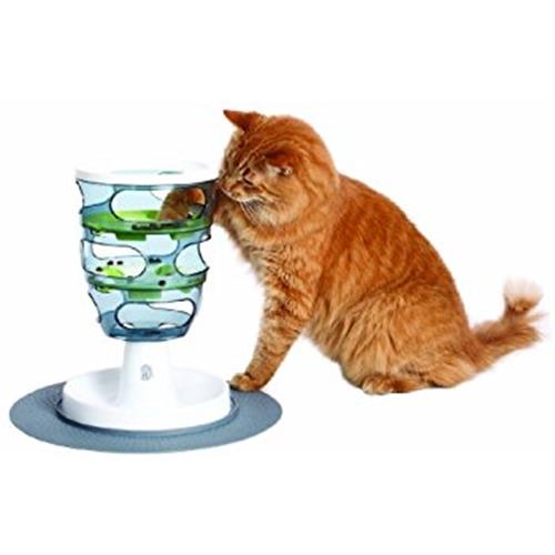 CAT IT משחק מבוך האכלה