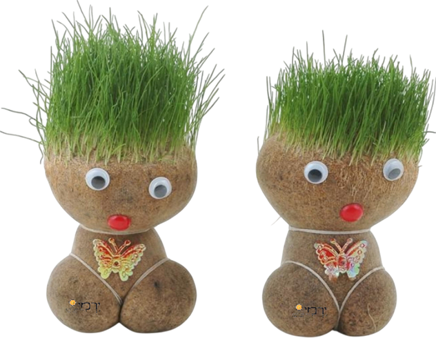 ראש דשא מארז ל-18 ילדים