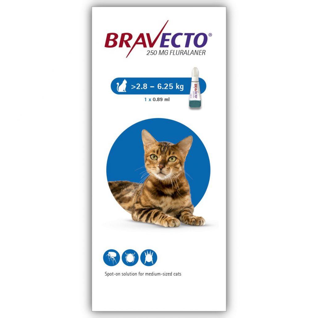 ברבקטו אמפולה So לטיפול בקרציות ופרעושים 250 מ"ג לחתול 2.8-6.25 ק"ג-Bravecto-שופיפט 