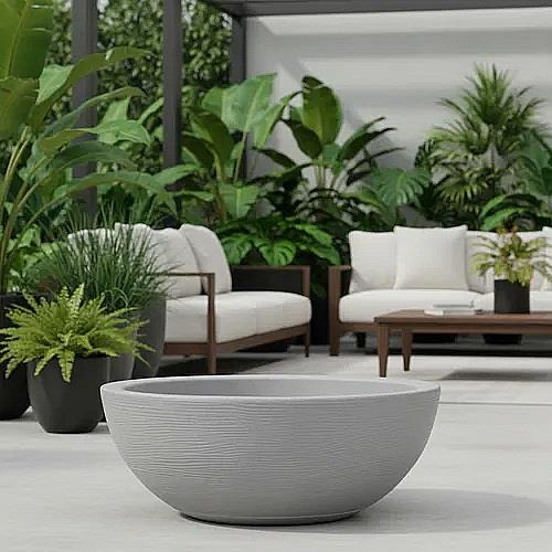 קערת אמסטרדה