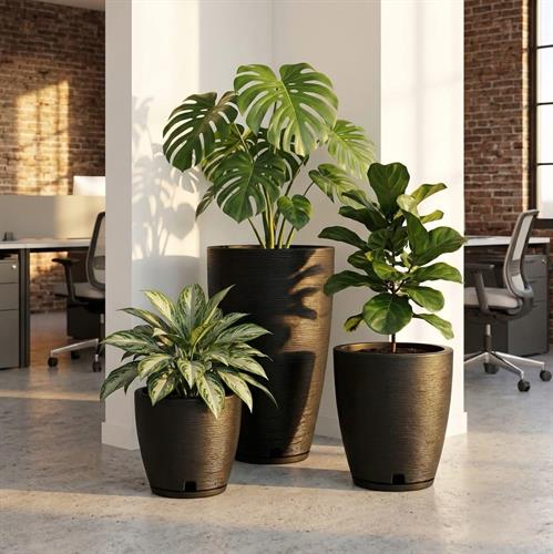 כדי אמסטרדה