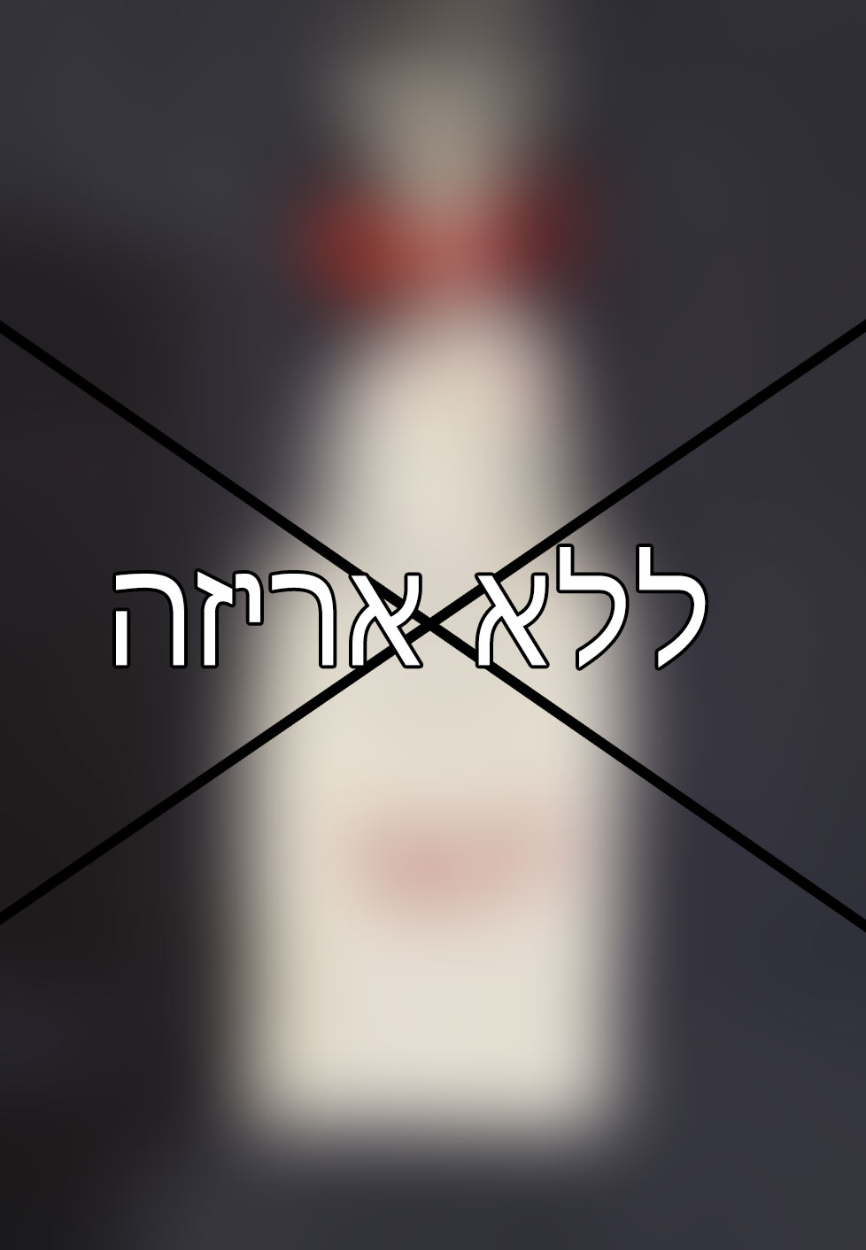 אני לא מעוניינ/ת באריזת מתנה