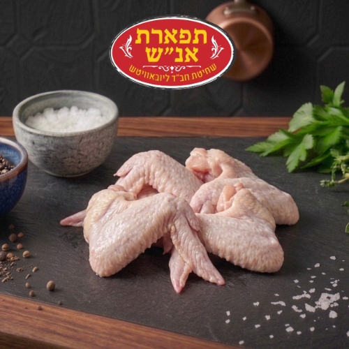 כנפיים עוף תפארת אנ"ש