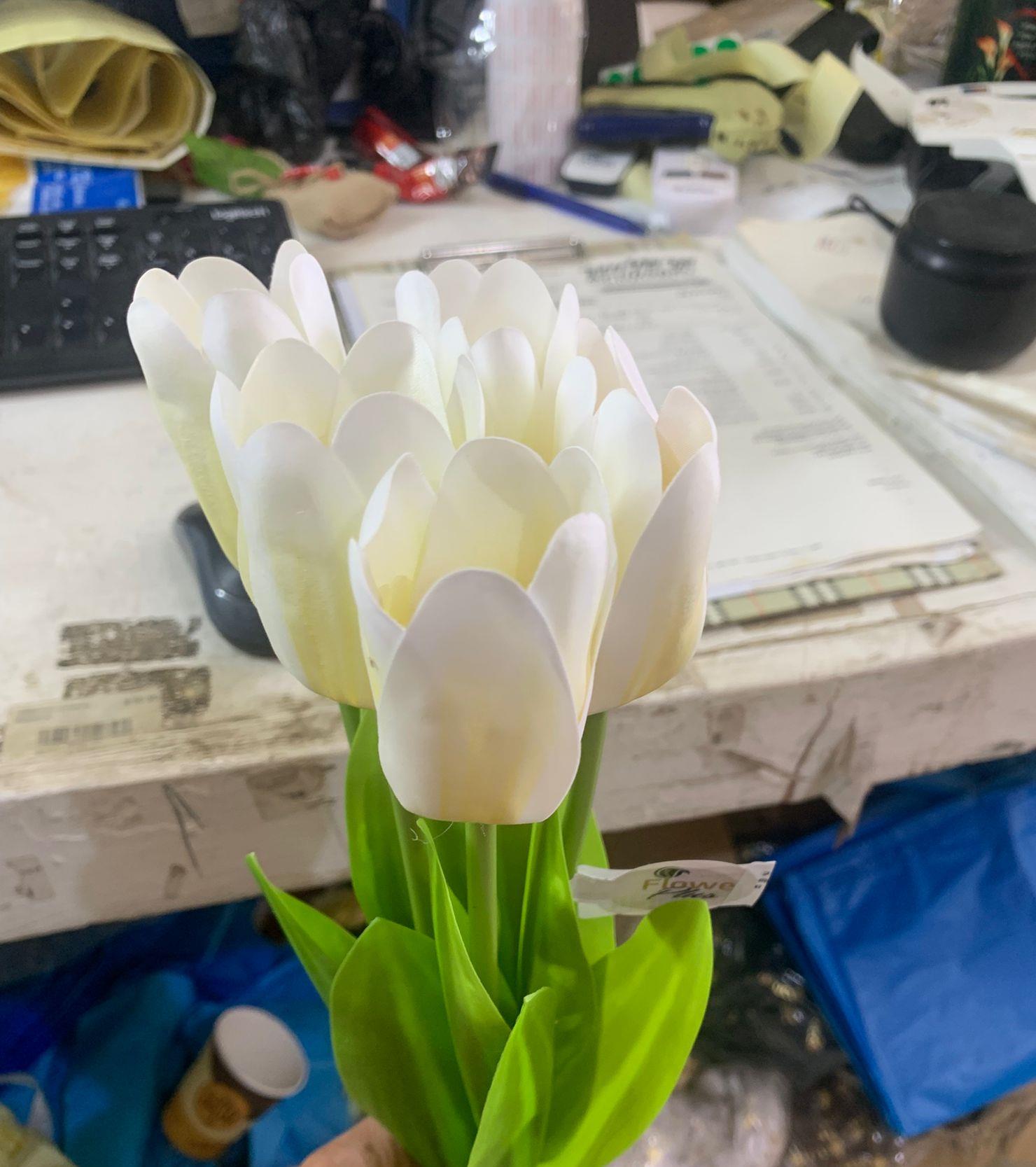 שושנה עם עלים לבן