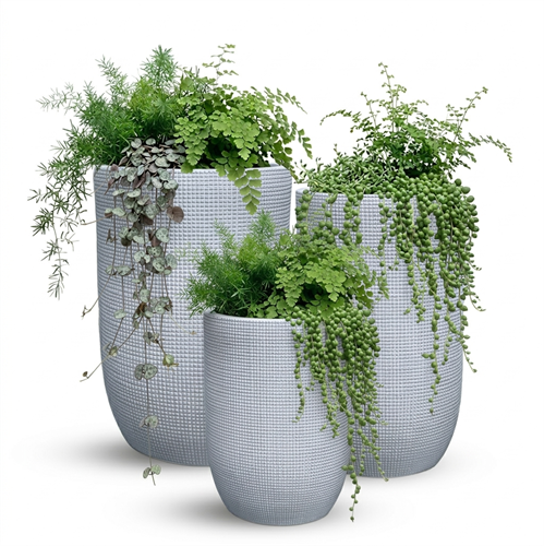 סט כדי אלגרה אפור