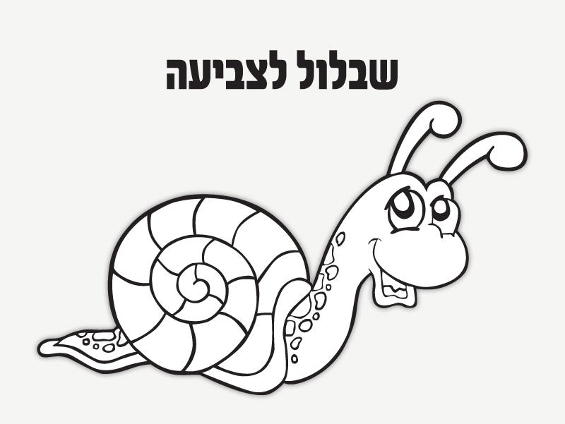 עבודות יצירה שבלול לצביעה - 36 יח'