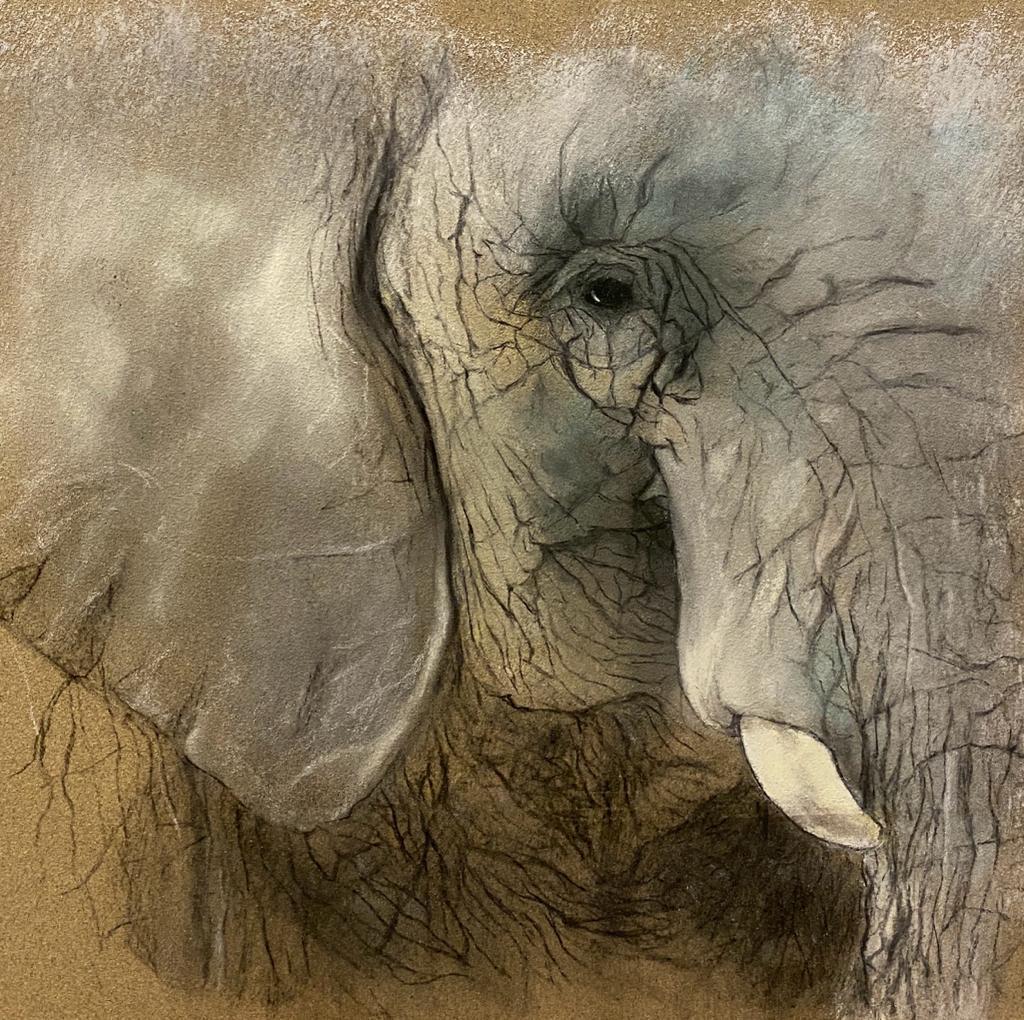 Photo 02-08-2023, 17 01 57 (2)