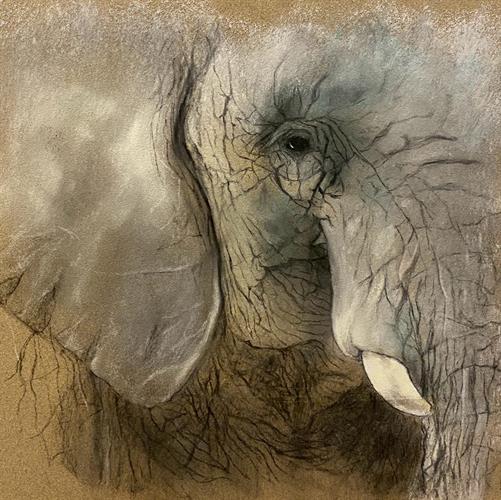 Photo 02-08-2023, 17 01 57 (2)