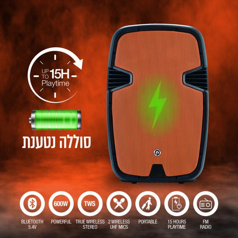 בידורית 2 מיקרופונים -600W PMW4415 פיור אקוסטיק Pure Acoustics