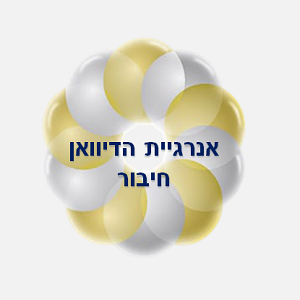 27. חיבור לאנרגיית הדיוואן - כלי.