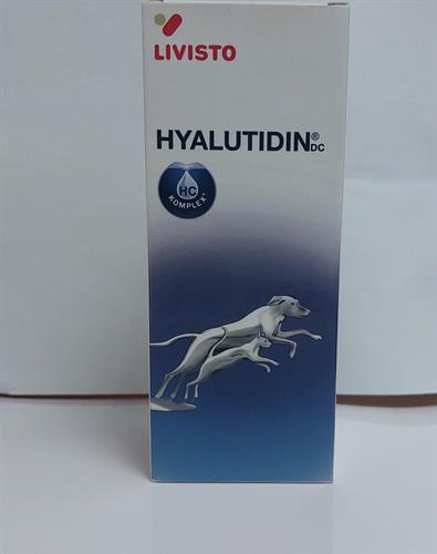 היאלוטידין למפרקים 125 מל Hyalutidin