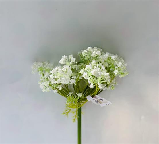 שושנים קטנים לבן #3