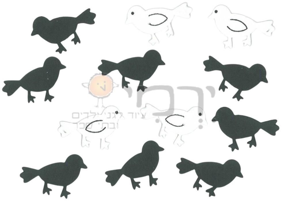 מדבקות סול נחליאלי - 70 יח'