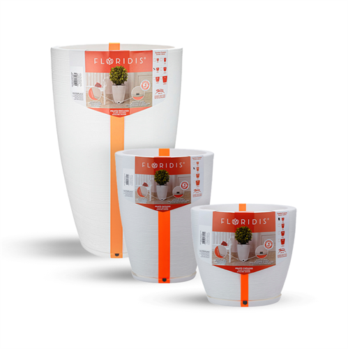 כדי אמסטרדה כדי אמסטרדה