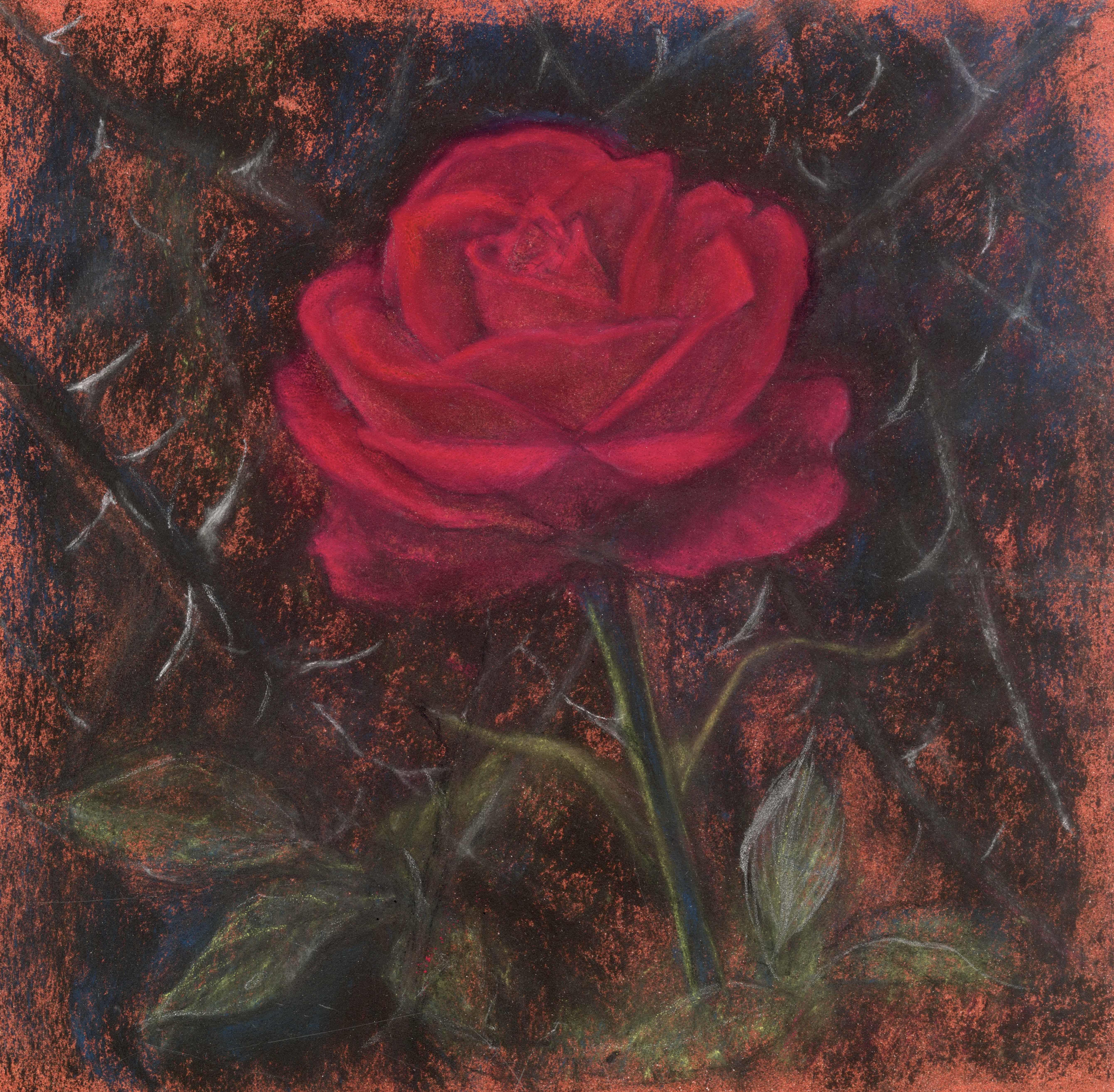 Rose Among the The Wedding Moment, 2020, chalk on paper, 40x30 cm