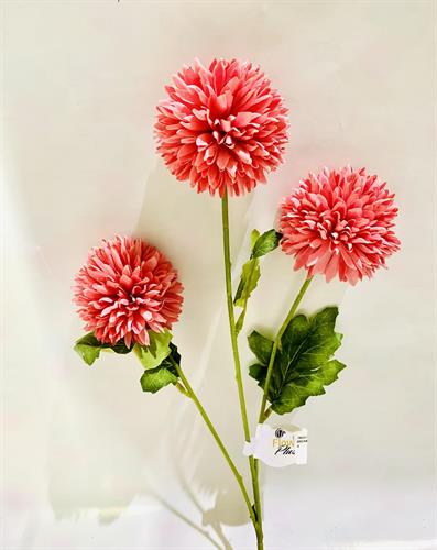 פרחים בגבעול