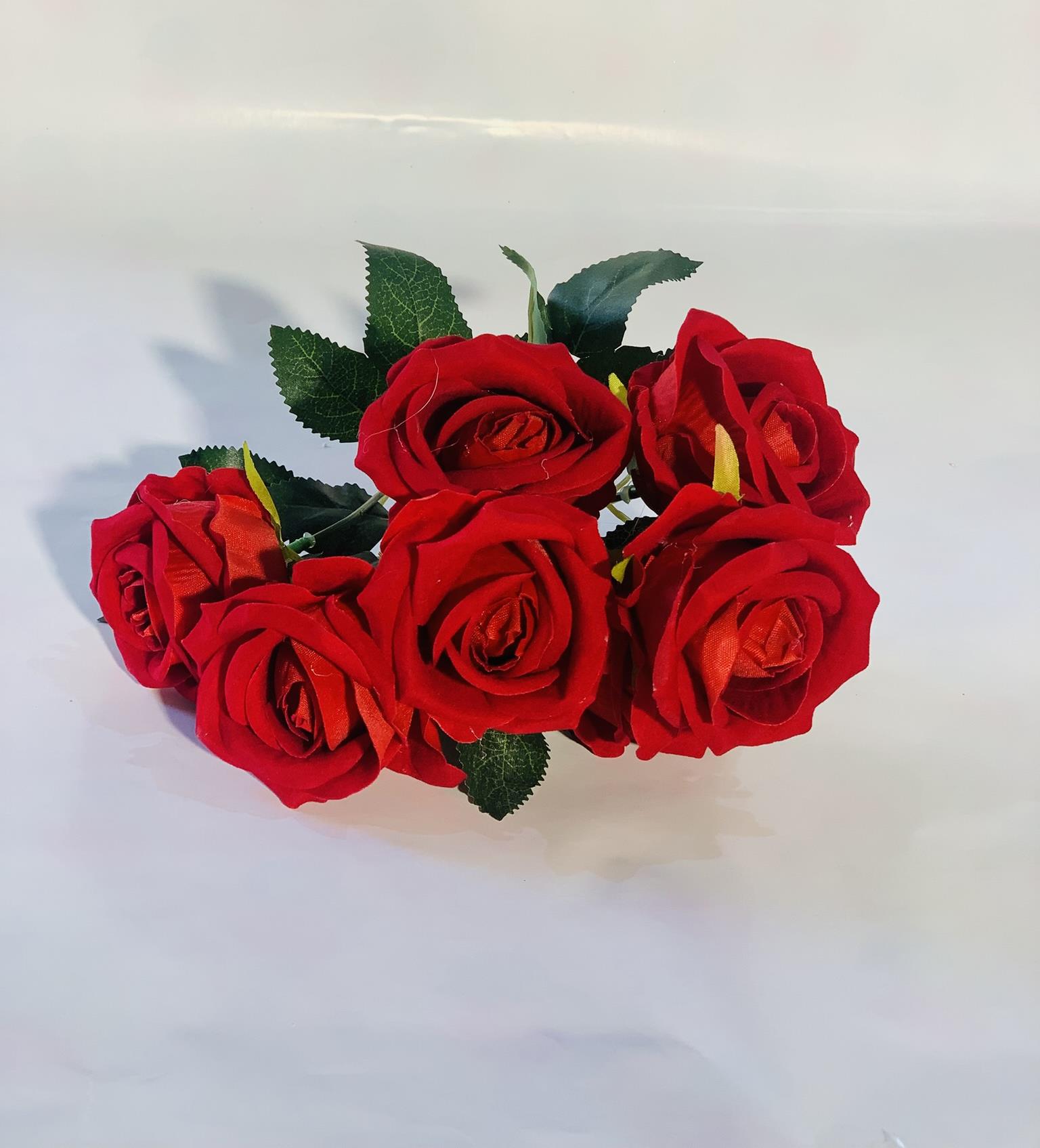 שושנים בורדו גבעול