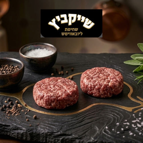 סטייק בורגר שייקביץ