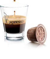 12 מארזים [120 קפסולות] קפה אספרסו INTENSO [אפור] (תואמות Nespresso)