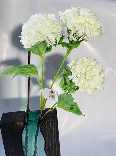 שושנים גדולים לבן פנינ