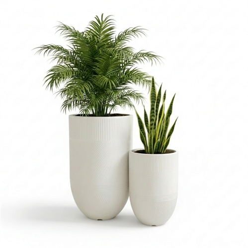 סט כדי ארגוס שמנת